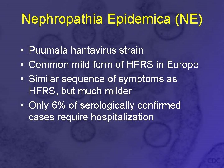 Nephropathia Epidemica (NE) • Puumala hantavirus strain • Common mild form of HFRS in