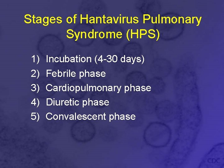 Stages of Hantavirus Pulmonary Syndrome (HPS) 1) 2) 3) 4) 5) Incubation (4 -30