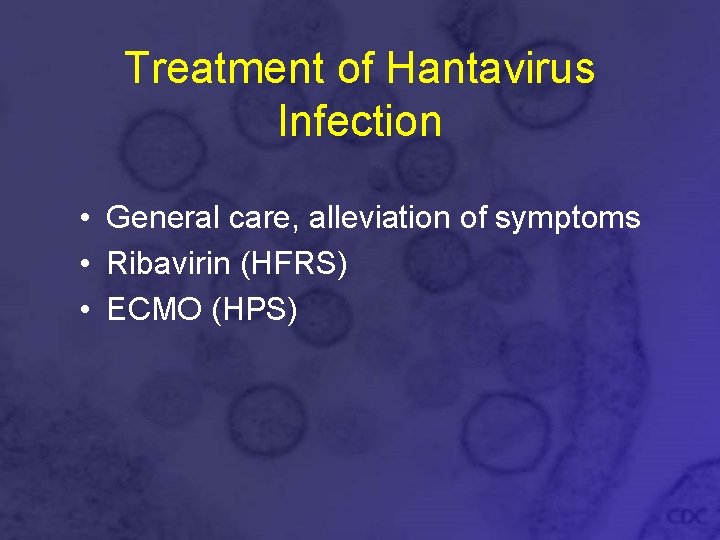 Treatment of Hantavirus Infection • General care, alleviation of symptoms • Ribavirin (HFRS) •