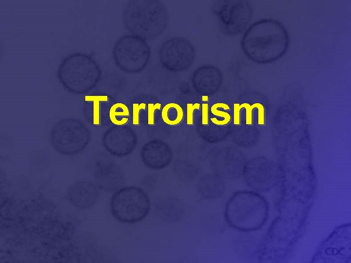 Terrorism 