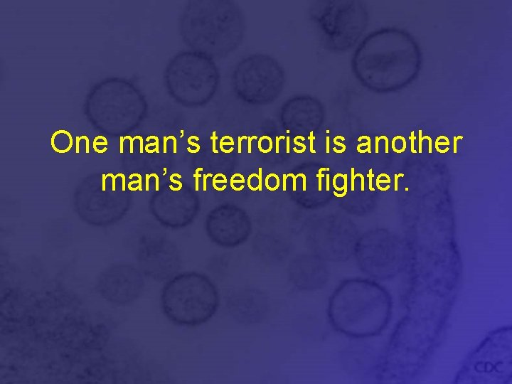 One man’s terrorist is another man’s freedom fighter. 