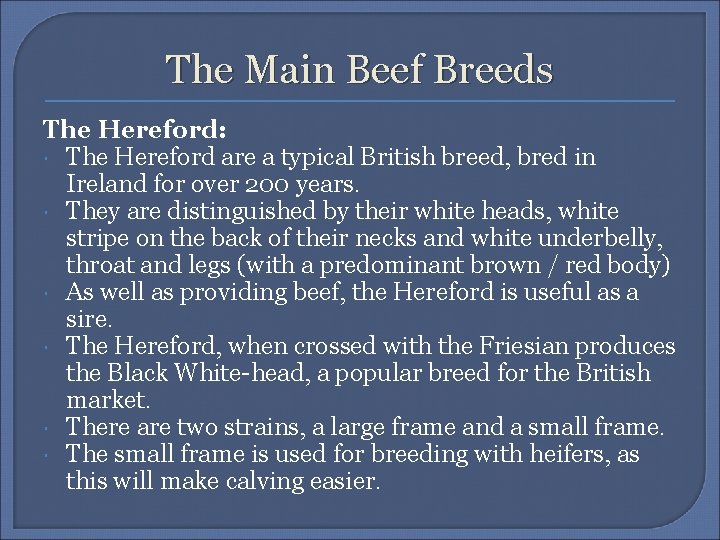 The Main Beef Breeds The Hereford: The Hereford are a typical British breed, bred