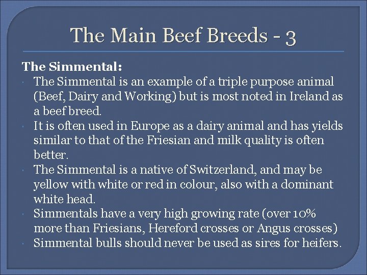 The Main Beef Breeds - 3 The Simmental: The Simmental is an example of