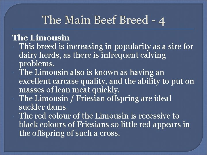 The Main Beef Breed - 4 The Limousin This breed is increasing in popularity