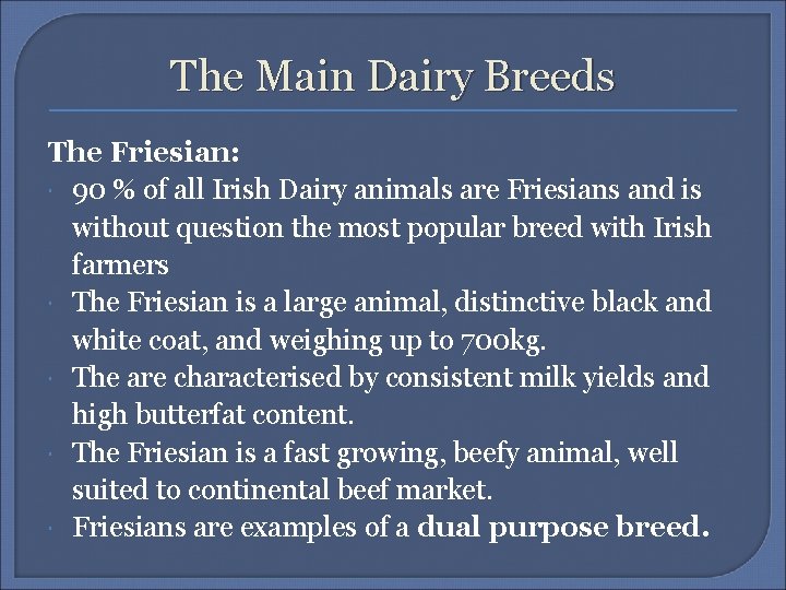 The Main Dairy Breeds The Friesian: 90 % of all Irish Dairy animals are