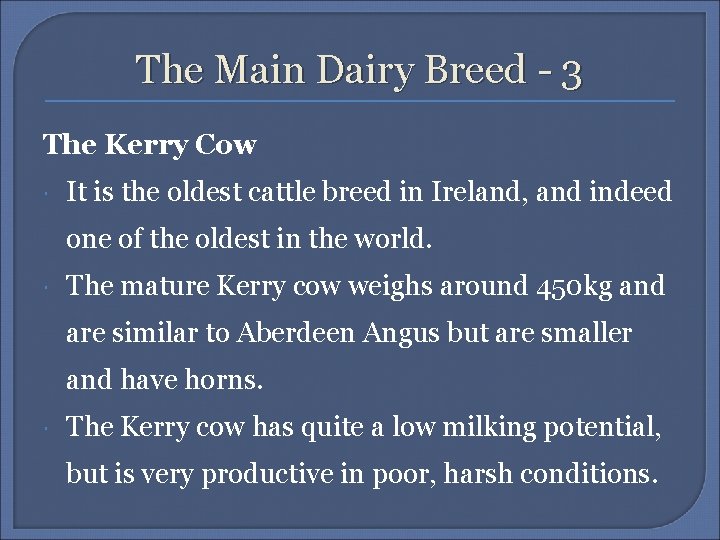 The Main Dairy Breed - 3 The Kerry Cow It is the oldest cattle