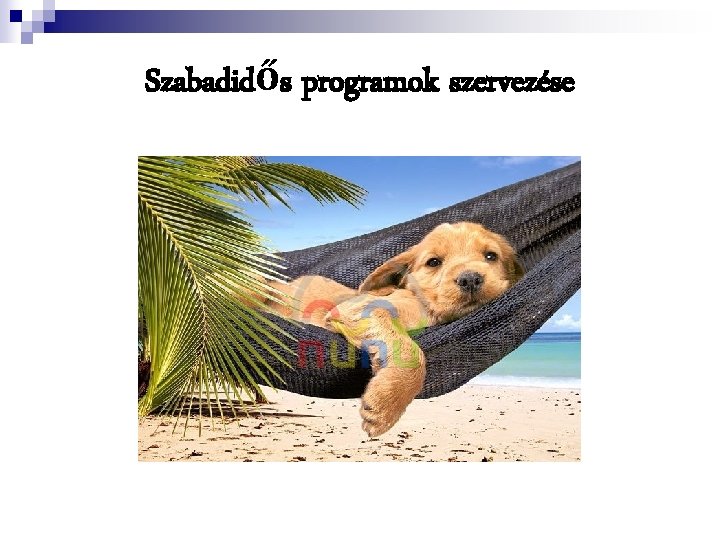 Szabadidős programok szervezése 