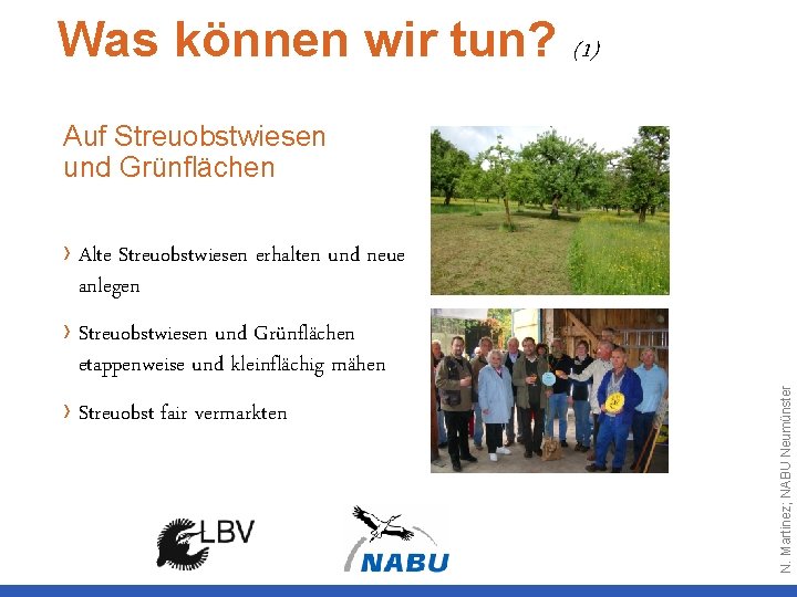 Was können wir tun? (1) Auf Streuobstwiesen und Grünflächen › Streuobstwiesen und Grünflächen etappenweise