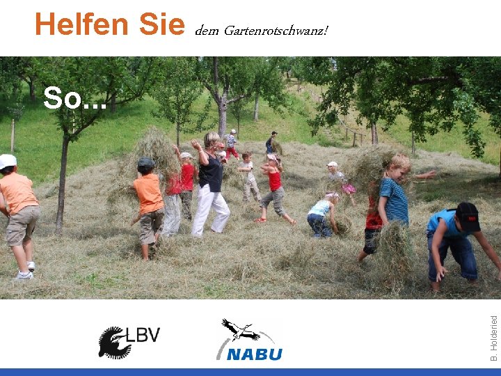 Helfen Sie dem Gartenrotschwanz! B. Holderied So. . . 