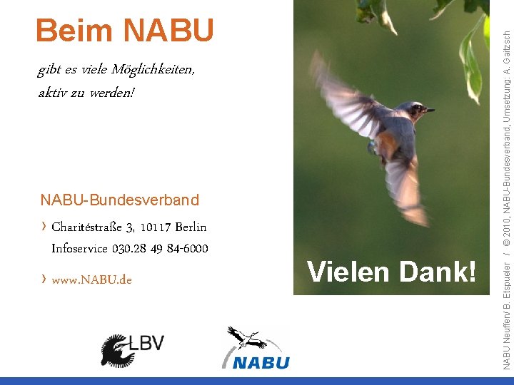 gibt es viele Möglichkeiten, aktiv zu werden! NABU-Bundesverband › Charitéstraße 3, 10117 Berlin Infoservice