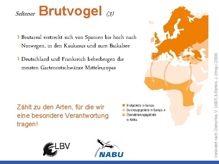 Seltener Brutvogel (3) › Deutschland und Frankreich beherbergen die meisten Gartenrotschwänze Mitteleuropas Zählt zu