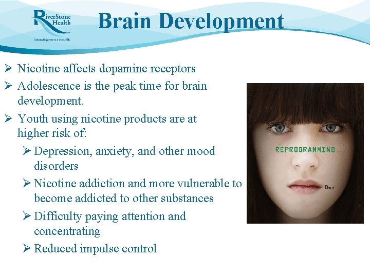 Brain Development Ø Nicotine affects dopamine receptors Ø Adolescence is the peak time for