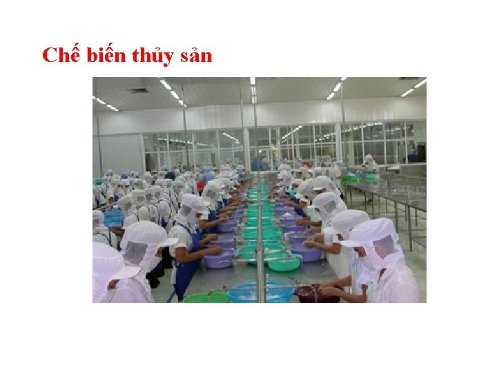 Chế biến thủy sản 