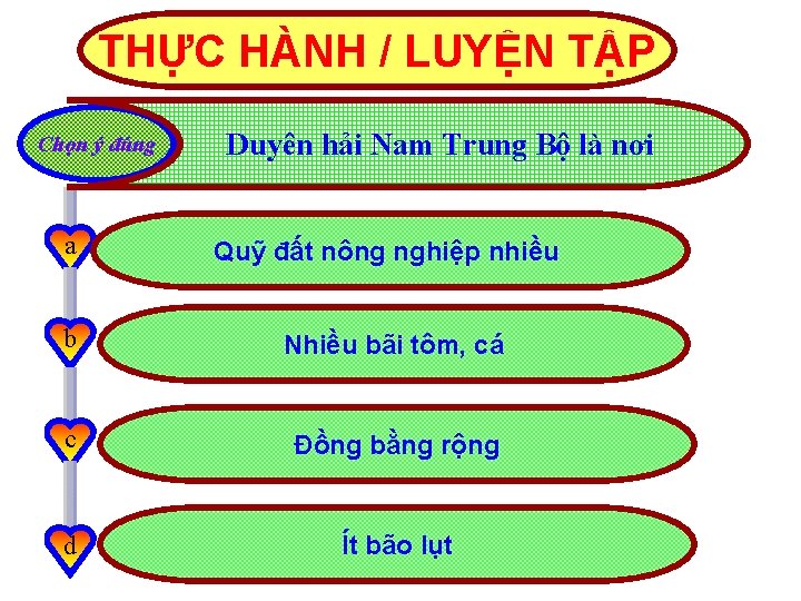 THỰC HÀNH / LUYỆN TẬP Chọn ý đúng Duyên hải Nam Trung Bộ là