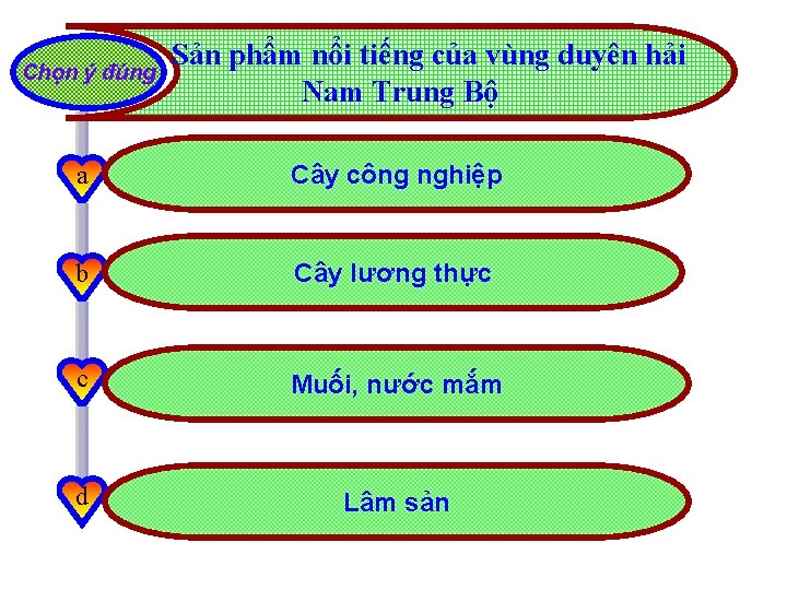 Chọn ý đúng Sản phẩm nổi tiếng của vùng duyên hải Nam Trung Bộ