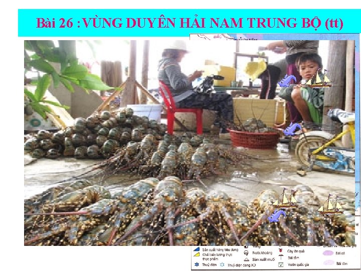Bài 26 : VÙNG DUYÊN HẢI NAM TRUNG BỘ (tt) 