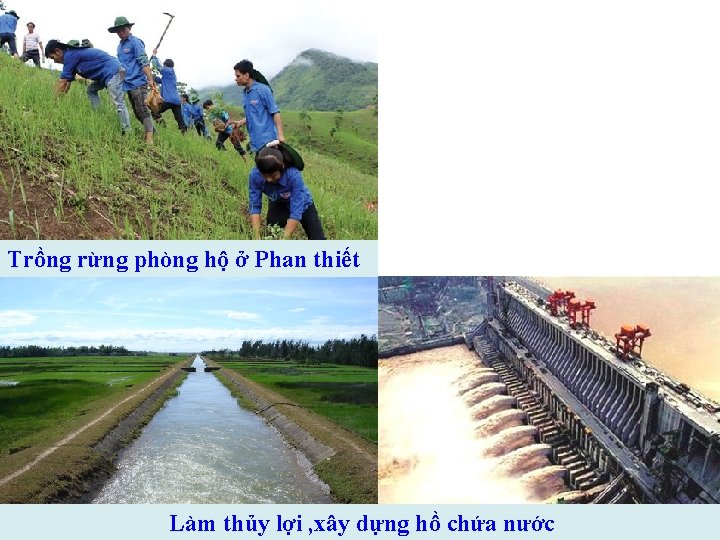 Trồng rừng phòng hộ ở Phan thiết Làm thủy lợi , xây dựng hồ