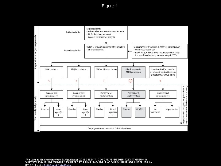 Figure 1 The Lancet Gastroenterology & Hepatology 2018 3162 -171 DOI: (10. 1016/S 2468