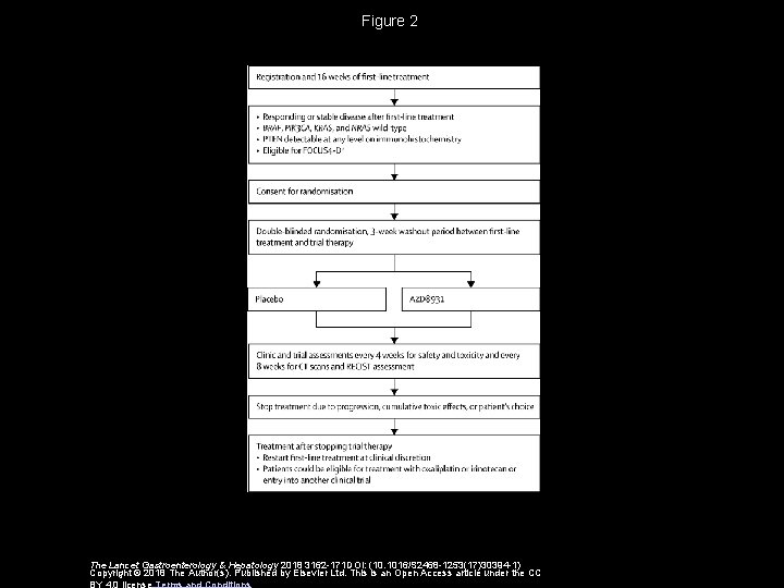 Figure 2 The Lancet Gastroenterology & Hepatology 2018 3162 -171 DOI: (10. 1016/S 2468