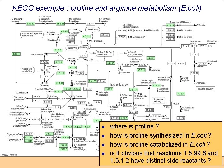 KEGG example : proline and arginine metabolism (E. coli) n n where is proline