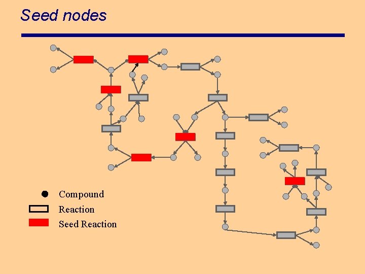 Seed nodes Compound Reaction Seed Reaction 