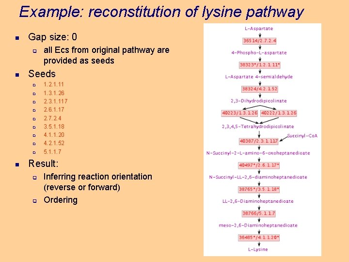 Example: reconstitution of lysine pathway n Gap size: 0 q n Seeds q q