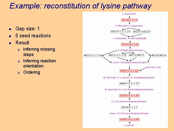 Example: reconstitution of lysine pathway n n n Gap size: 1 5 seed reactions