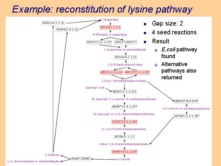 Example: reconstitution of lysine pathway n n n Gap size: 2 4 seed reactions