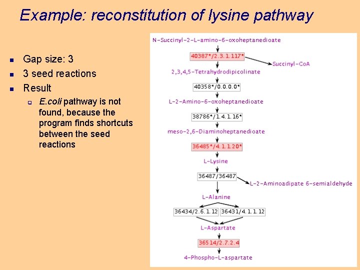 Example: reconstitution of lysine pathway n n n Gap size: 3 3 seed reactions