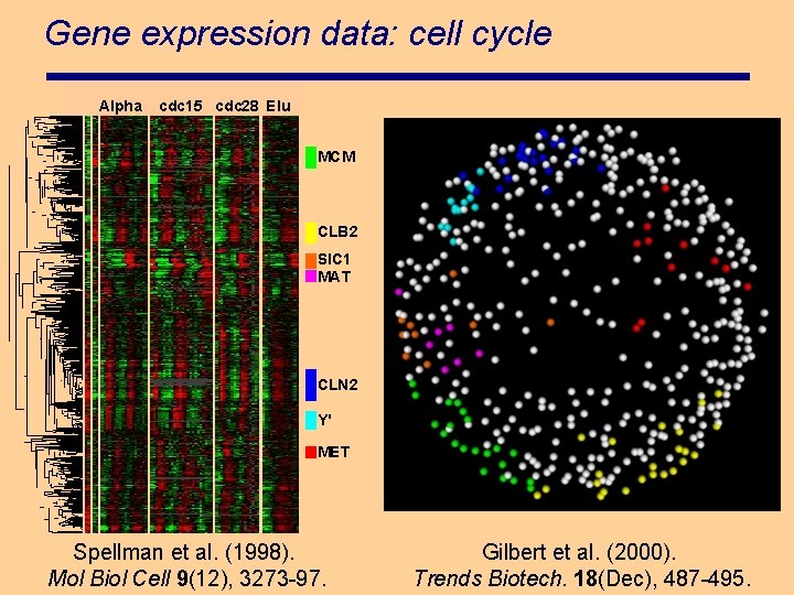 Gene expression data: cell cycle Alpha cdc 15 cdc 28 Elu MCM CLB 2