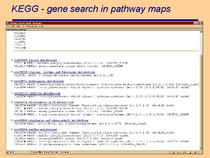 KEGG - gene search in pathway maps 