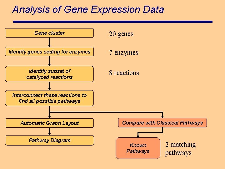 Analysis of Gene Expression Data Gene cluster 20 genes Identify genes coding for enzymes