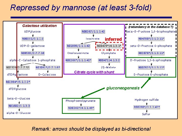 Repressed by mannose (at least 3 -fold) Galactose utilization (redundancy in the database ?