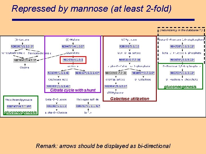 Repressed by mannose (at least 2 -fold) (redundancy in the database ? ) gluconeogenesis