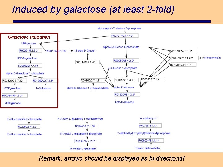 Induced by galactose (at least 2 -fold) Galactose utilization Remark: arrows should be displayed