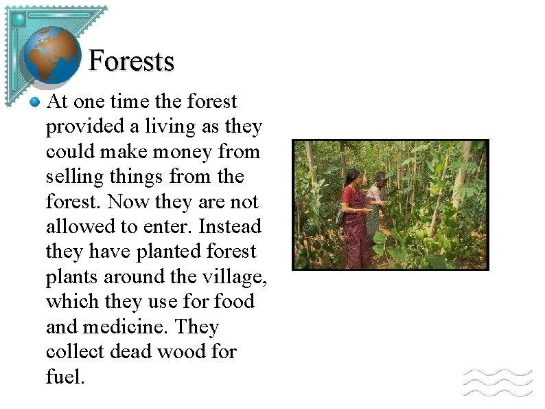 Forests At one time the forest provided a living as they could make money