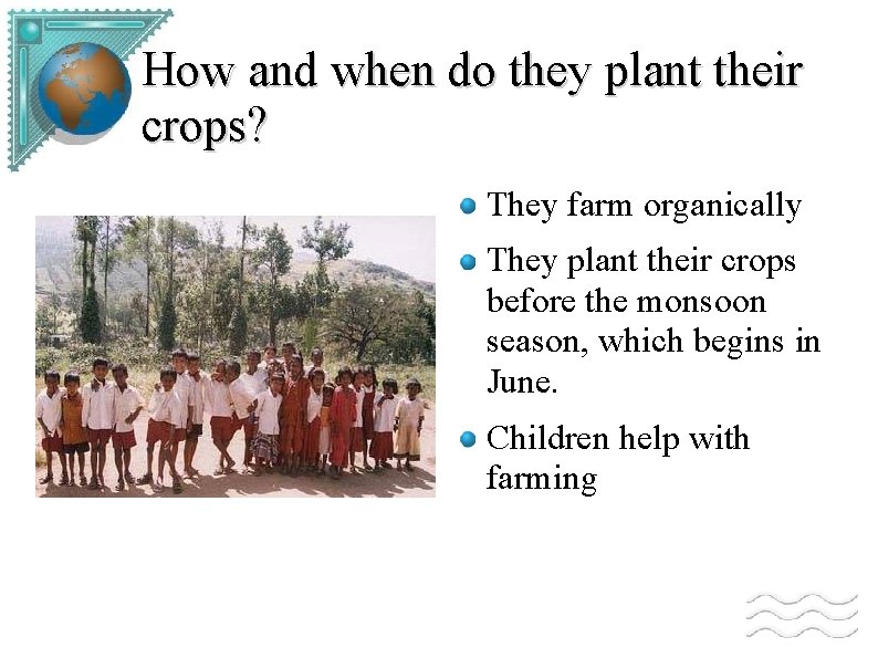 How and when do they plant their crops? They farm organically They plant their