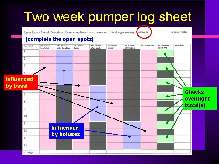 Two week pumper log sheet (complete the open spots) Influenced by basal Checks overnight