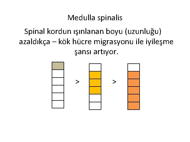 Medulla spinalis Spinal kordun ışınlanan boyu (uzunluğu) azaldıkça – kök hücre migrasyonu ile iyileşme