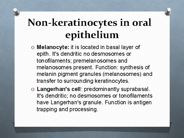 Non-keratinocytes in oral epithelium O Melanocyte: it is located in basal layer of epith.