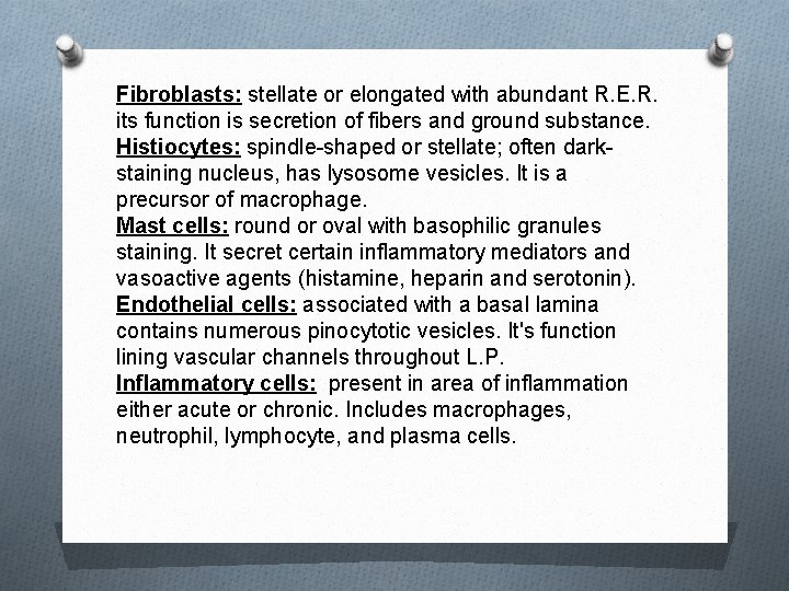 Fibroblasts: stellate or elongated with abundant R. E. R. its function is secretion of