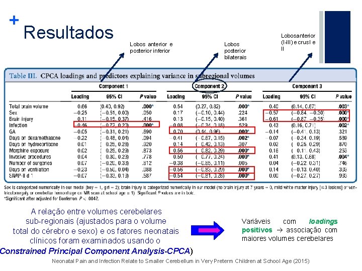 + Resultados Lobos anterior e posterior inferior A relação entre volumes cerebelares sub-regionais (ajustados