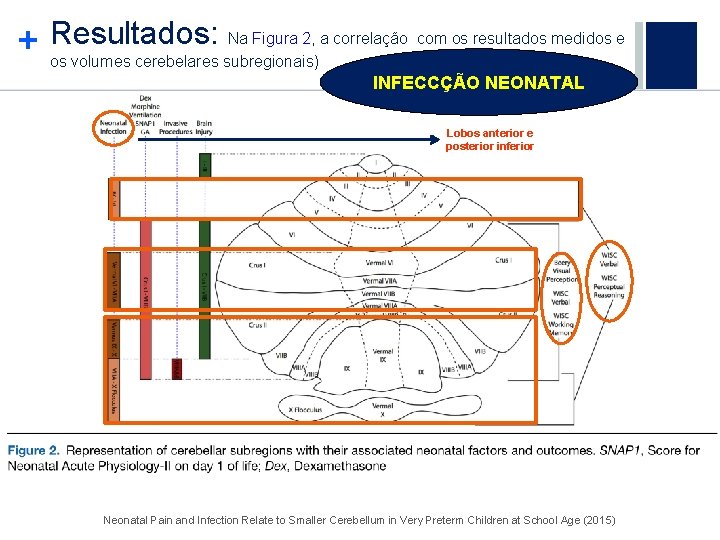 Na Figura 2, a correlação com os resultados medidos e + Resultados: os volumes