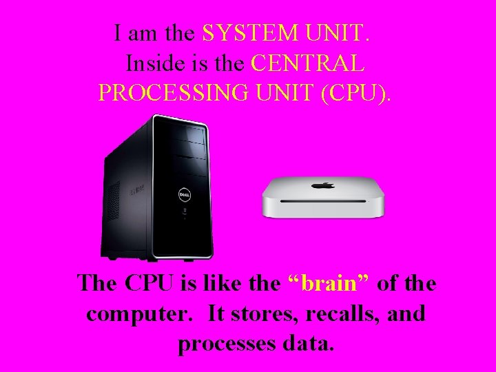 I am the SYSTEM UNIT. Inside is the CENTRAL PROCESSING UNIT (CPU). The CPU