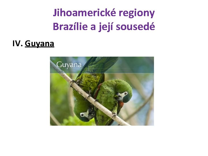 Jihoamerické regiony Brazílie a její sousedé IV. Guyana 