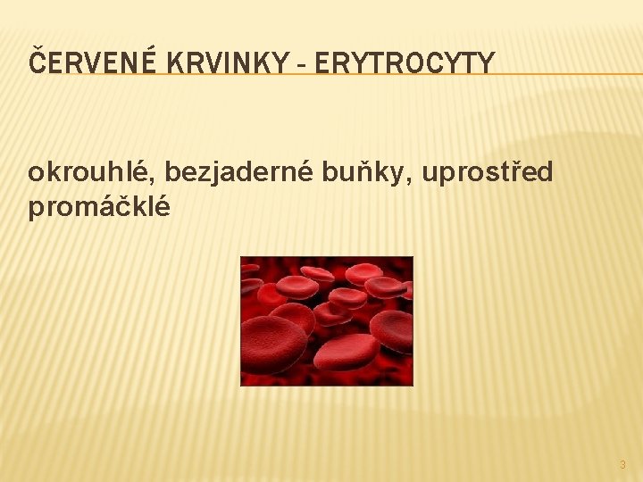 ČERVENÉ KRVINKY - ERYTROCYTY okrouhlé, bezjaderné buňky, uprostřed promáčklé 3 