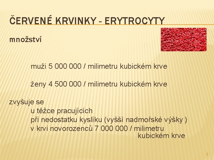 ČERVENÉ KRVINKY - ERYTROCYTY množství muži 5 000 / milimetru kubickém krve ženy 4