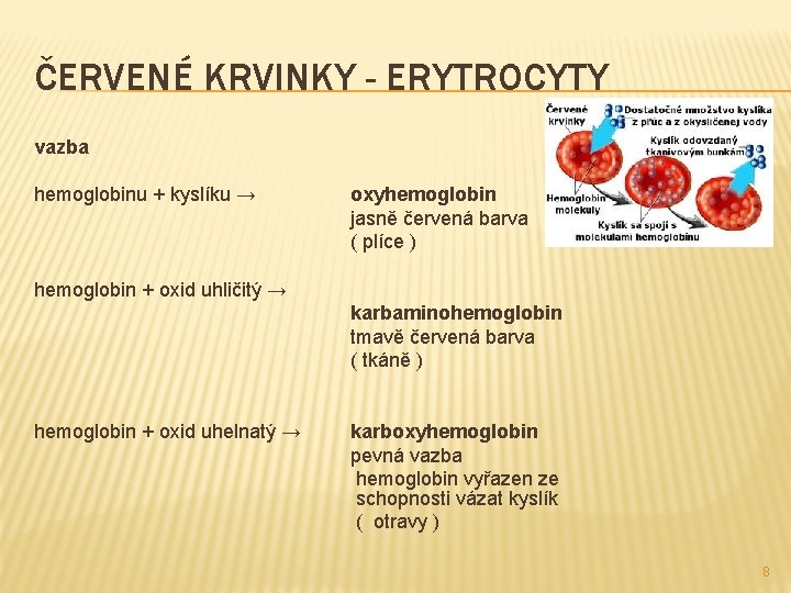 ČERVENÉ KRVINKY - ERYTROCYTY vazba hemoglobinu + kyslíku → oxyhemoglobin jasně červená barva (