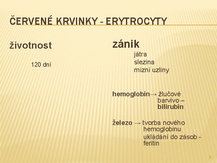 ČERVENÉ KRVINKY - ERYTROCYTY životnost 120 dní zánik játra slezina mízní uzliny hemoglobin→ žlučové