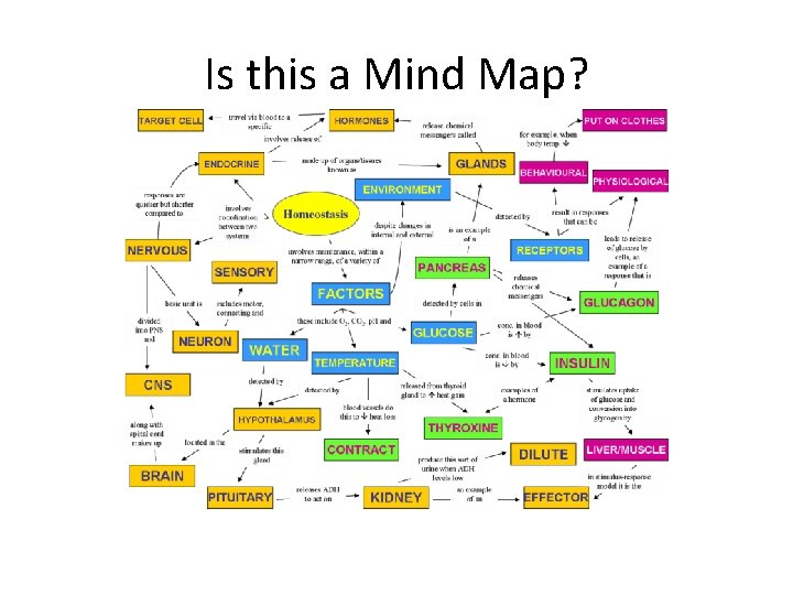 Is this a Mind Map? 